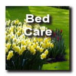 bedcare