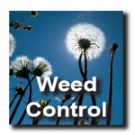 weedcontrol